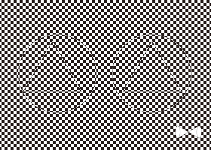 EYEWEAR CLOTH_Check Black