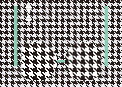 EYEWEAR CLOTH_Houndstooth